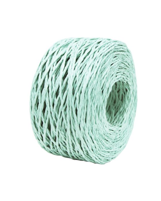 Paper Twine Mint 2 mm x 100 Metres Over Stocked Special 40 % off