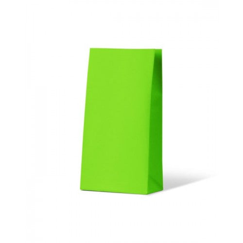 Medium Gift Party Paper Bags Green